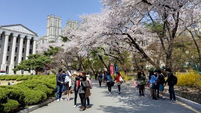 Điều kiện xin visa du học Hàn Quốc