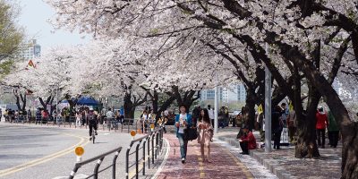 Thủ tục xin visa du học Hàn Quốc