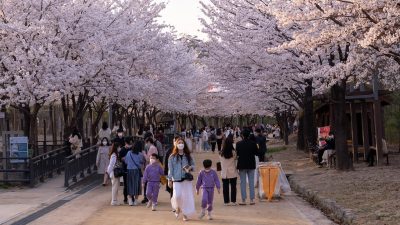 Đi Hàn Quốc có cần xin visa không?